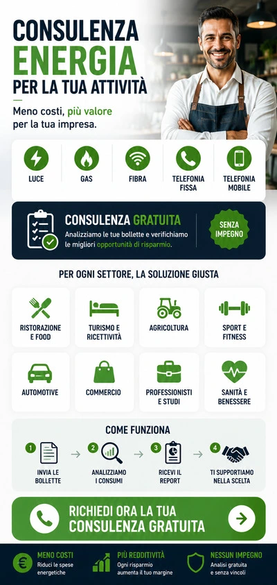 consulente luce e gas per attività commerciale