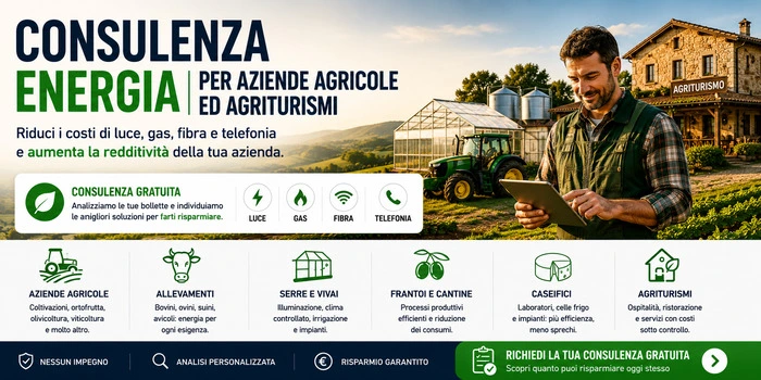 consulenza energia azienda agricola e agriturismo